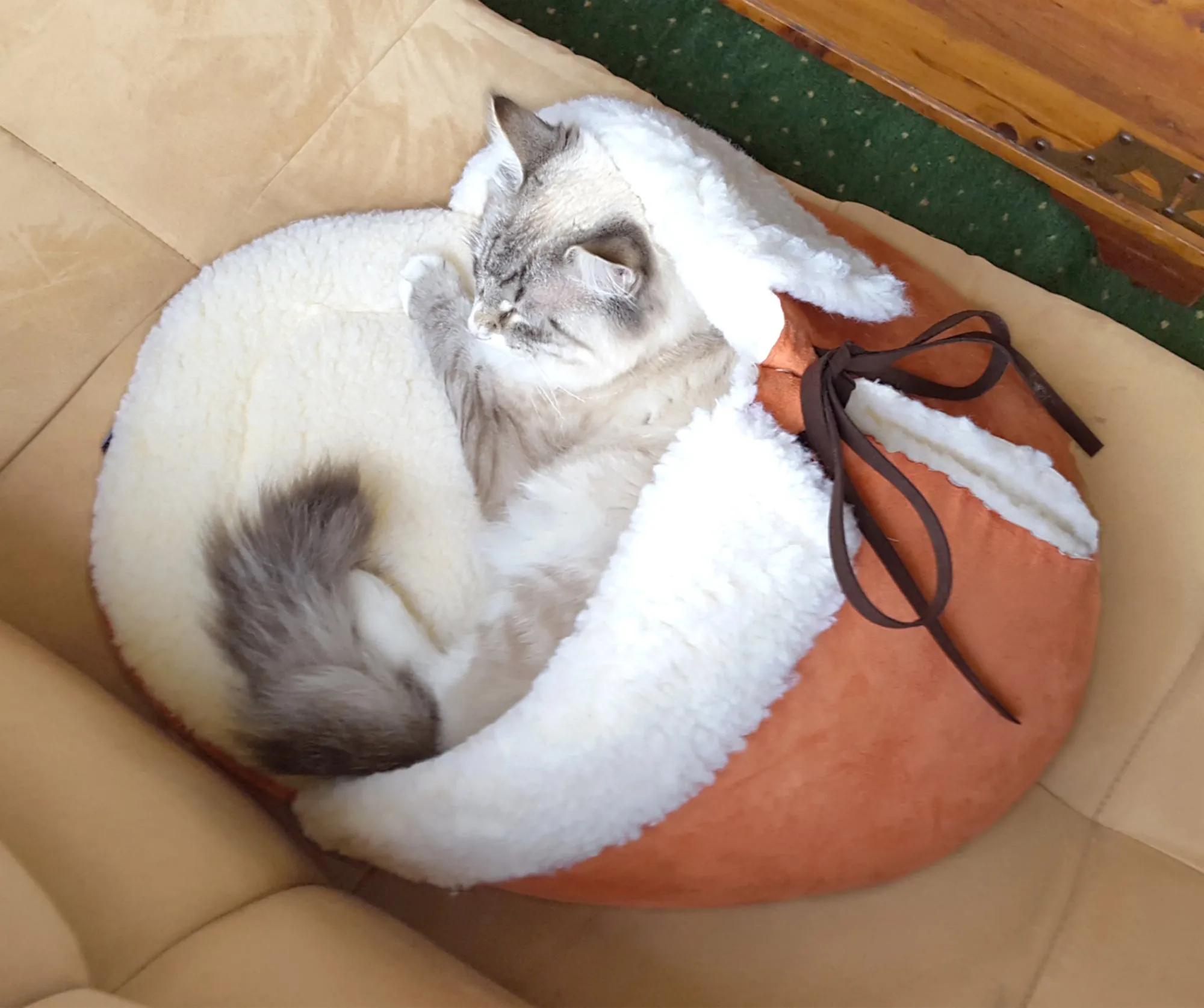 Giant Slipper Cat Bed in Orange Suede- 100% vegan materials