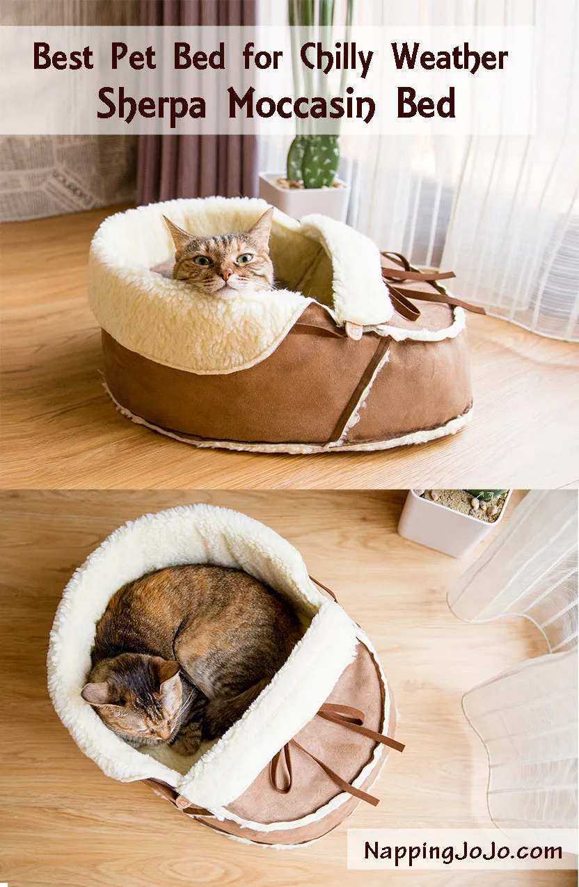 Seconds SALE: Sherpa Moccasin Cat Bed in Mocha Suede