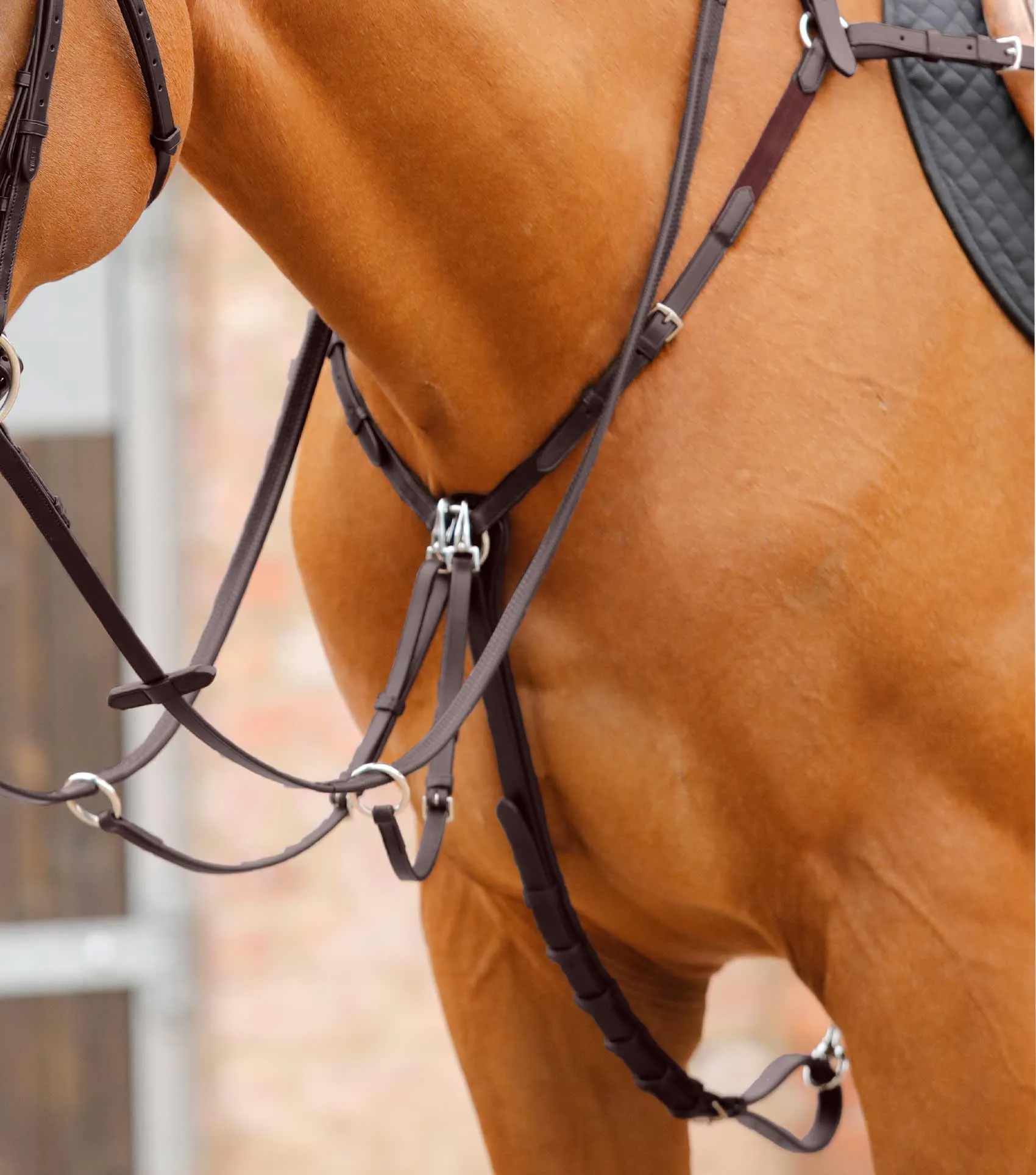 Valbrona Performance Breastplate Brown
